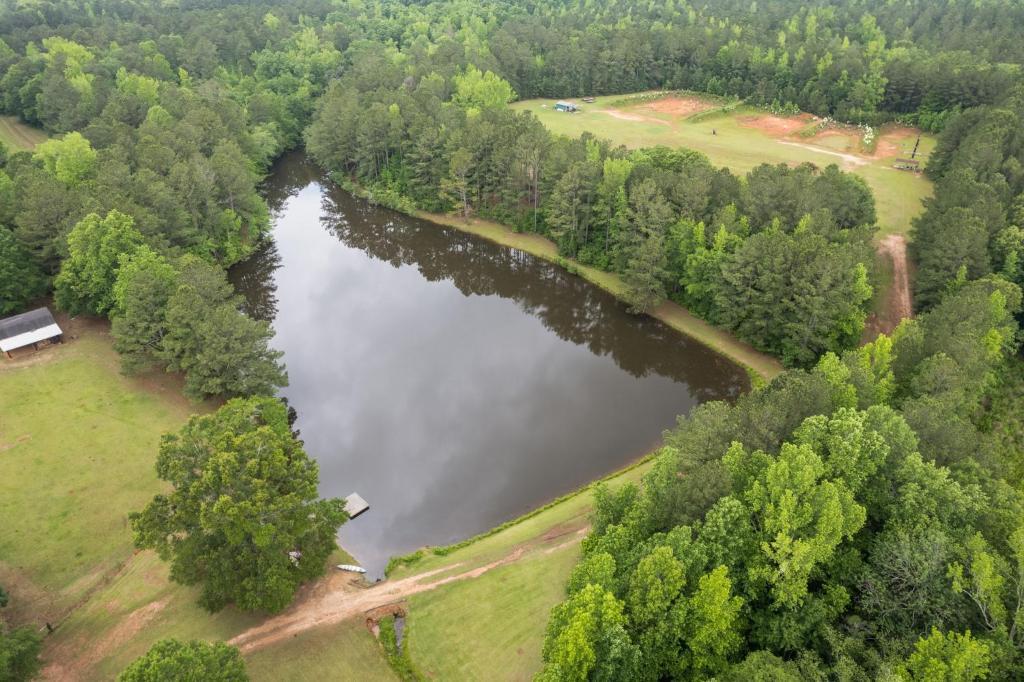 Refuge Ranch Retreat Log Cabin Lake 53+ Acres ローカスト・グローブ エクステリア 写真